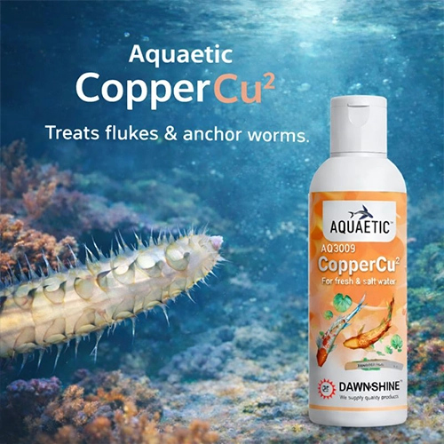 Aquaetic Copper